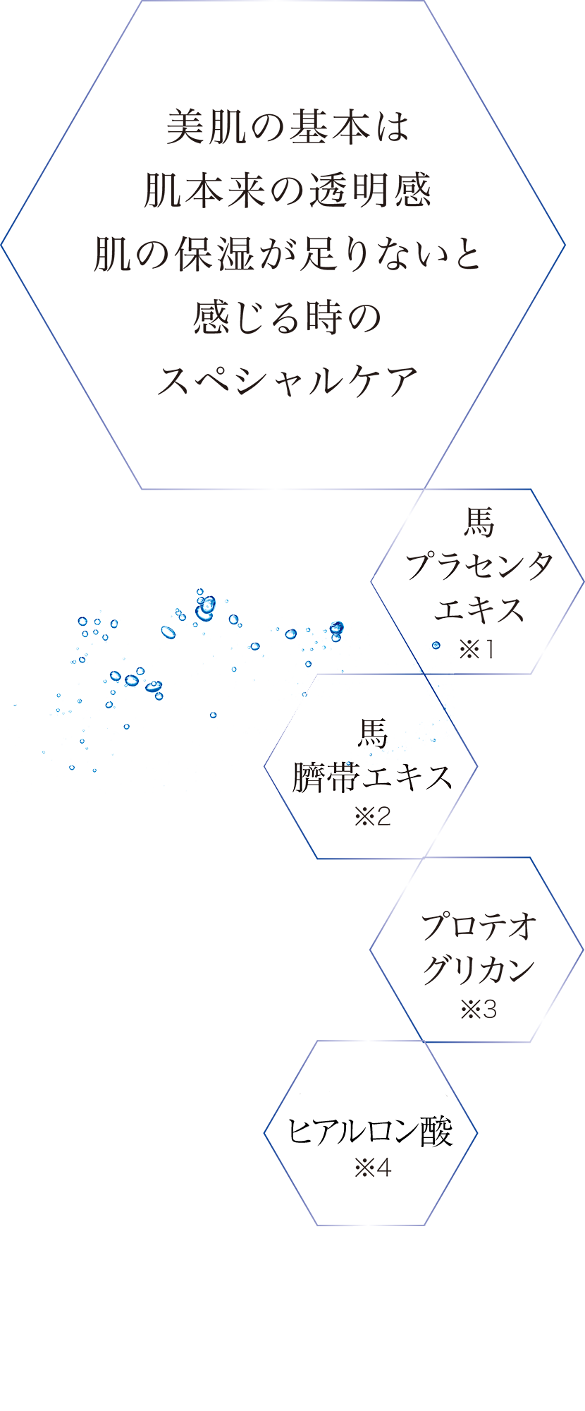 w pack成分表